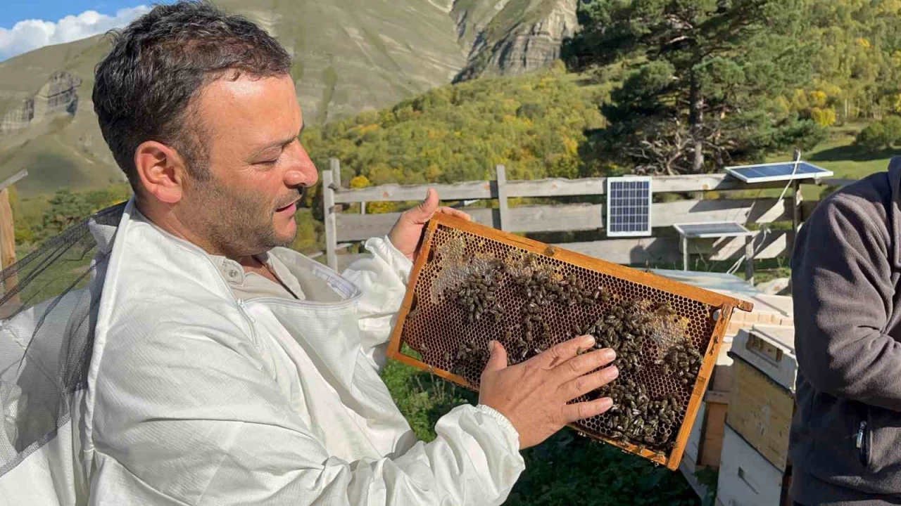 Artvin'de kefedilen bal, kylnn yeni gelir kaps oldu