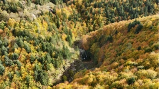 Balkan esintili Karadeniz kasabası: Alaçam