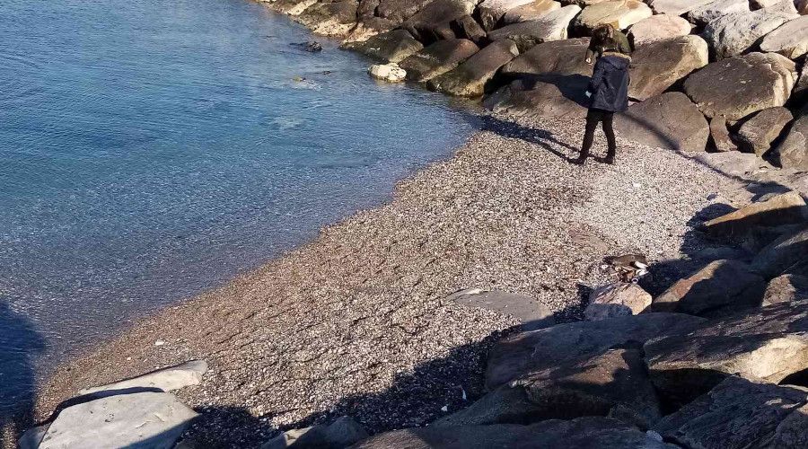 Bandırma'da deniz çekilmesinin 20. günü