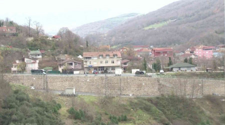 Beykoz'da domuzlar yerleim yerlerine indi