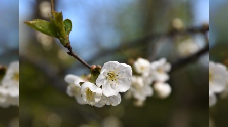 ‘Bizim güvenlik yurdumuz vardır’