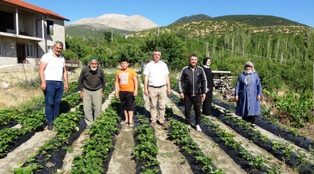 Bu bahede toplamak ve yemek cretsiz