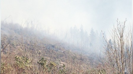 Bu kadar yangn ancak insan karr