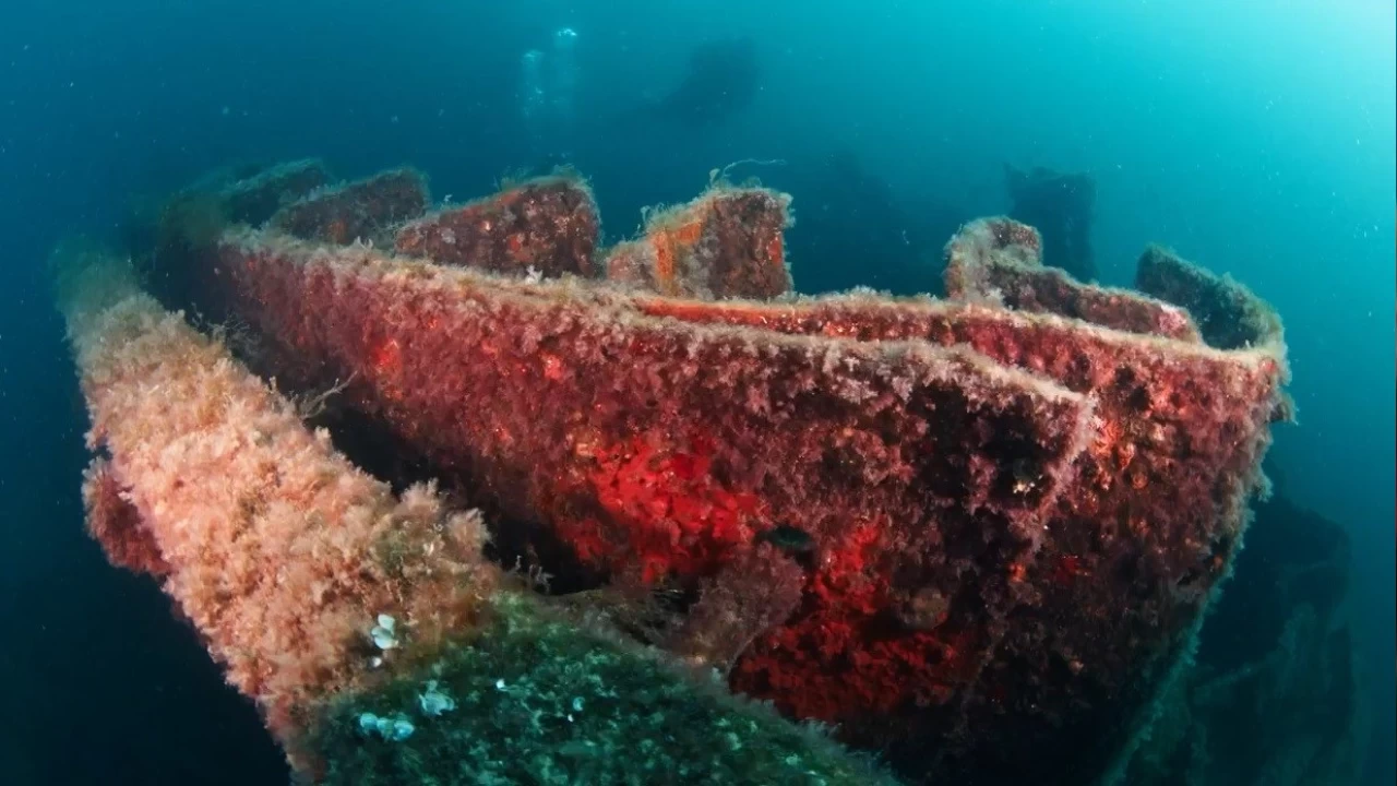 anakkale Savalar'ndan kalma 109 yllk batklar grntlendi