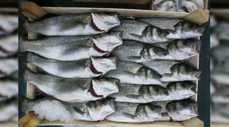 Çin'e su ürünleri ihracatı başlıyor