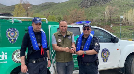 Deniz polisi yaralı ebabil kuşunu kurtardı