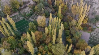 Diyarbakır'da asırlık kerpiç evler arasında renk cümbüşü