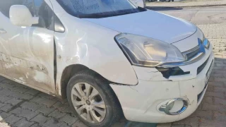 Domuz sürüsüne çarpan sürücü kazayı ucuz atlattı