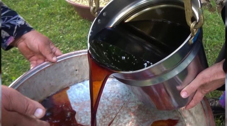 Dut pekmezinin sofra yolculuğu başladı