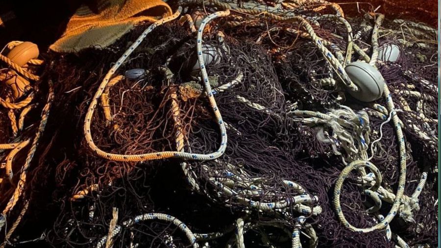 Elektroşok ile avladıkları 200 kilogram sazanı bırakıp kaçtılar