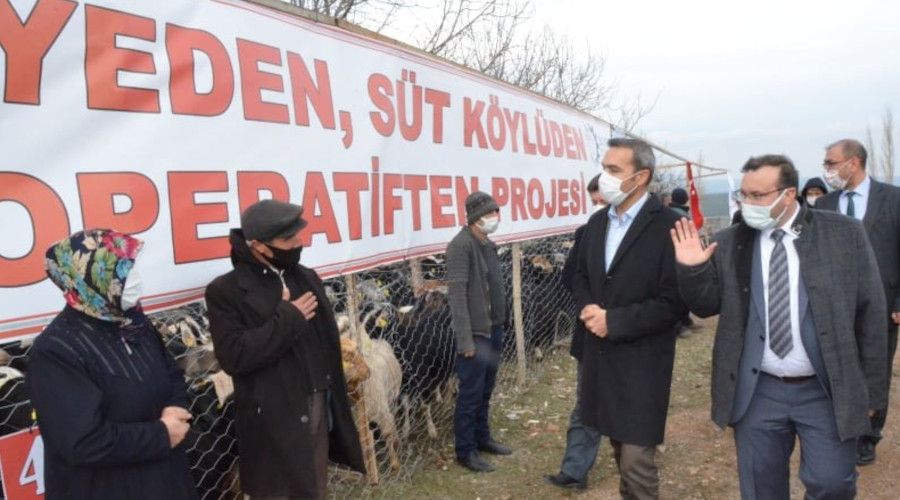 Emet'te 'Keçi peyniri' projesi