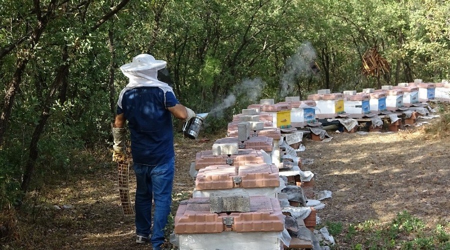 Fiyatına rağmen talebe yetişemiyorlar