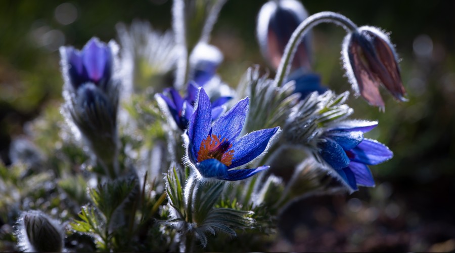 Geçmişle gelecek müzede buluştu