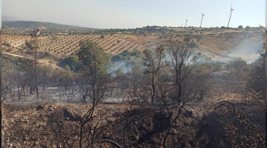Hatay'da orman yangını