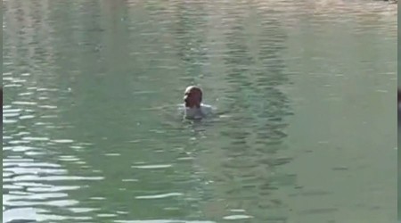 Herkesin gözü önünde Balıklıgöl'e girip yüzdü