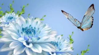 Hz. Zeyneb’in doğumu ve sıfatları