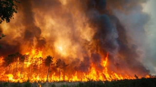 klim krizi yangn rejimini deitirirken orman yangnlar snmay artryor