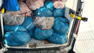 Kaçak sakatat operasyonu: 2 ton ele geçirildi