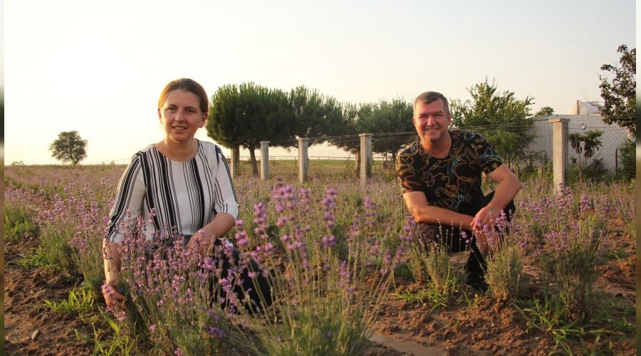 Kadın çiftçi ürettiği lavantalarla dünyaya açılmak istiyor