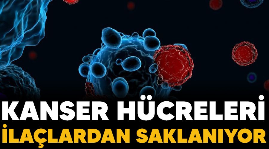 Kanser hücreleri ilaçlardan saklanıyor