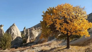 Kapadokya'nn sonbahar renkleri