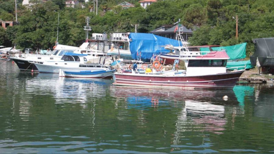 Karadenizli balıkçılar hamsiden umutlu