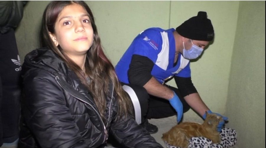 Kedi kalp masajıyla hayata döndü