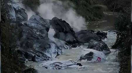 Kocaeli'de çevre katliamı