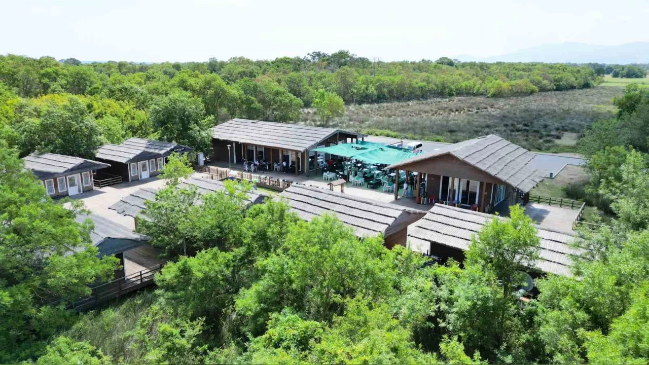 Kuş Cenneti'ne ilgi arttı