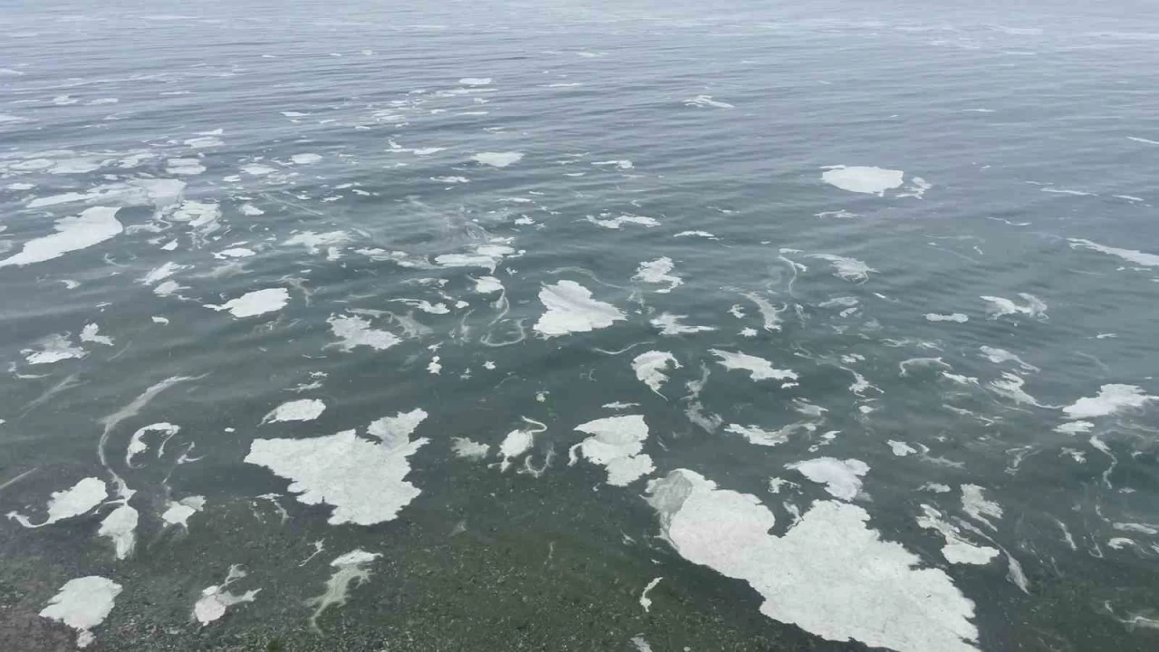 Mudanya'y msilaj sard, deniz beyaz tabakayla rtld