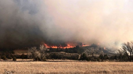 Orman yangınında gökyüzü dumanla kaplandı