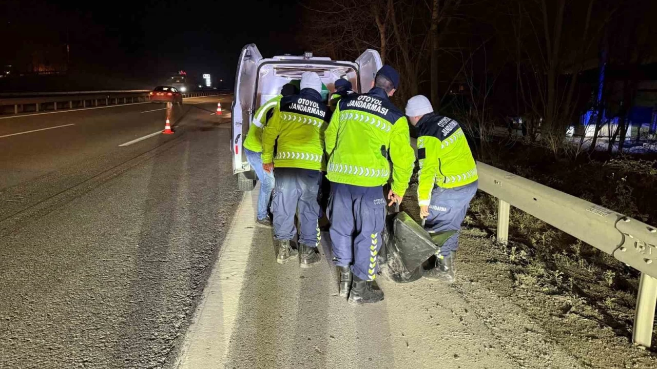 Sakarya'da otoyolda bir kiinin paralanm cesedi bulundu