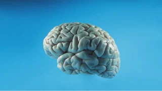 Sakız Çiğnemek Zihinsel Gücü Yükseltiyor