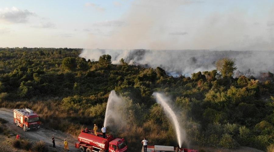 Samsun ormanlarnda kan 22 yangnda 21,28 ha rt zarar grd