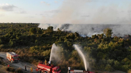 Samsun ormanlarnda kan 22 yangnda 21,28 ha rt zarar grd