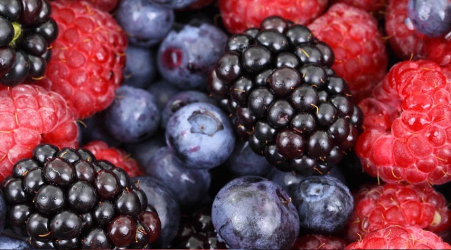 Şimdi 'mor meyve' zamanı