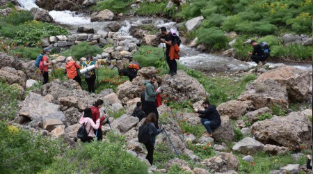 Şırnak'ta ters lale için turlar düzenleniyor