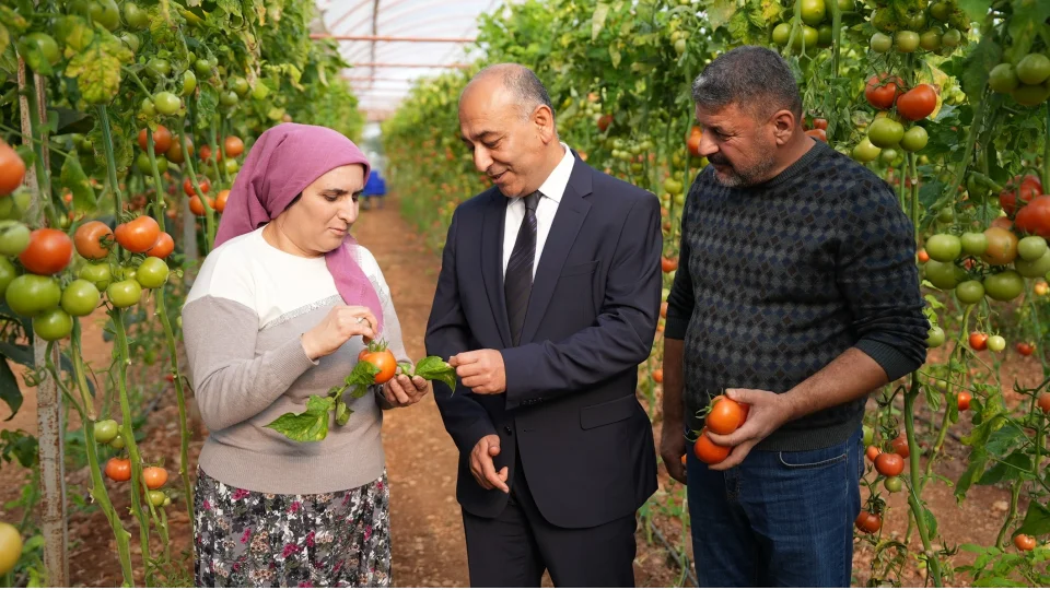 ŞOK Marketler’de meyve-sebzede yeni dönem