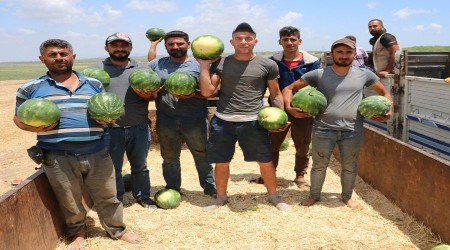 Tarlada 50 kuruş ya marketlerde?