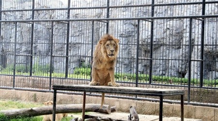 Tarsus Doğa Parkı tatilde öğrencilere ücretsiz