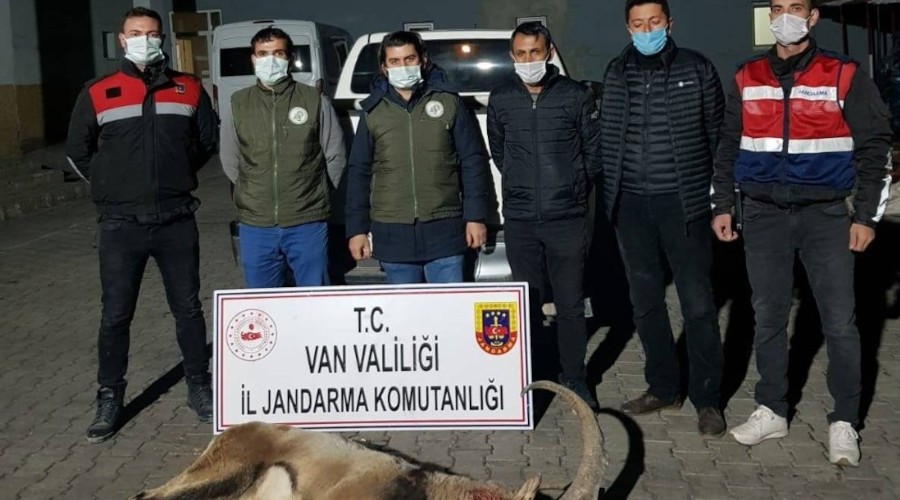 Yaban keçisi avlayan 4 kişiye para cezası