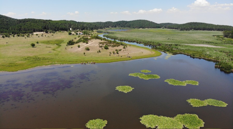 Yayla Gölü koruma altında