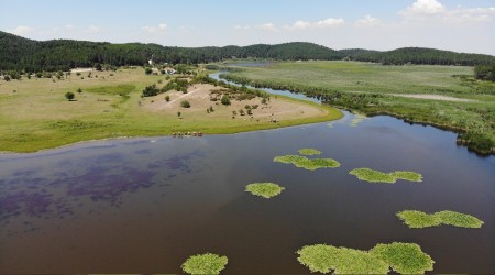 Yayla Gölü koruma altında