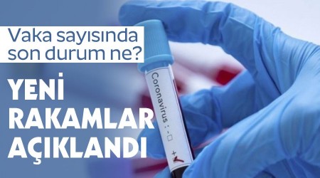 Yeni rakamlar açıklandı