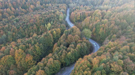 Zonguldak'ta 30 Eyll'e kadar ormanlara giri yasak