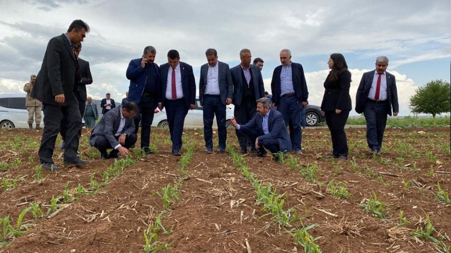 35 bin dekar alan doludan etkilendi