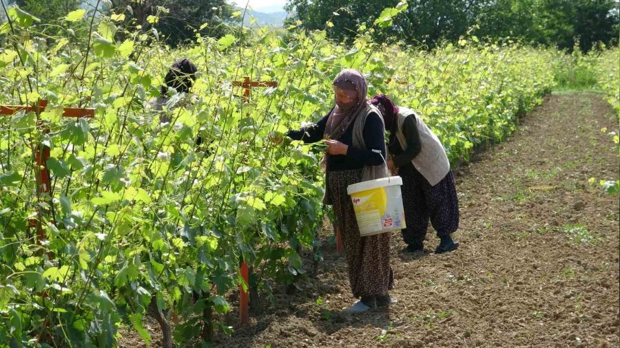 450 liradan satlmasna ramen taleplere yetiemiyorlar