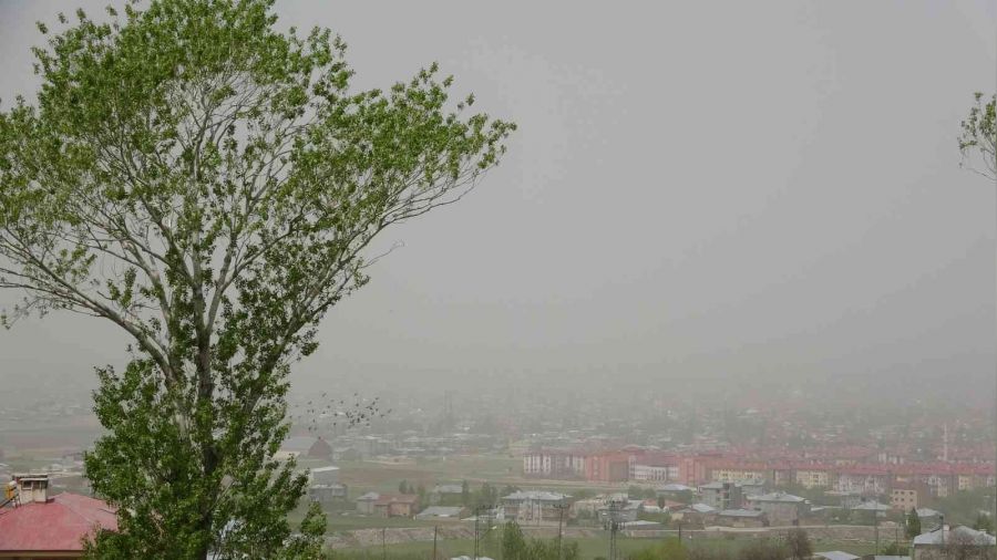 '54 yaşındayım ilk kez böyle bir şeyi gördüm'