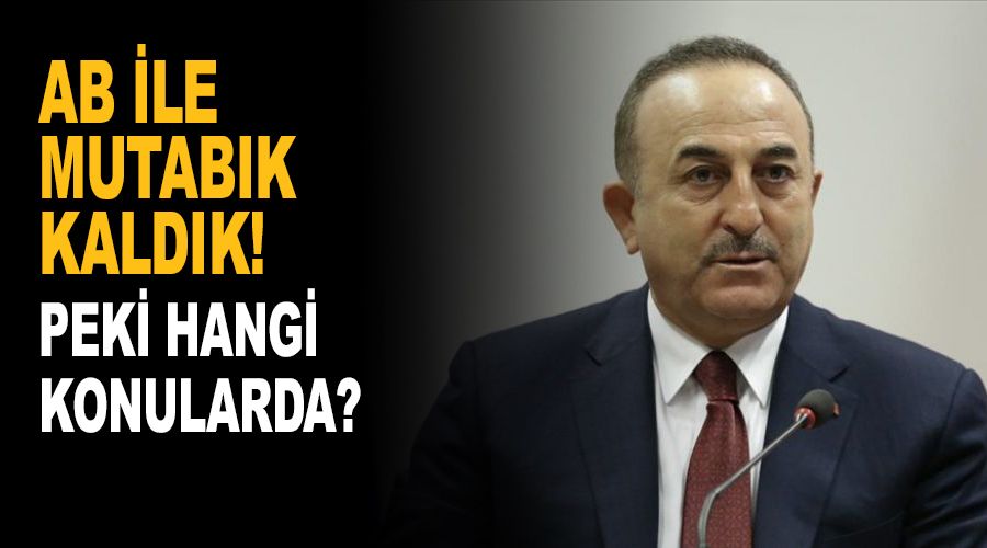 AB ile mutabık kaldık! Peki hangi konularda?