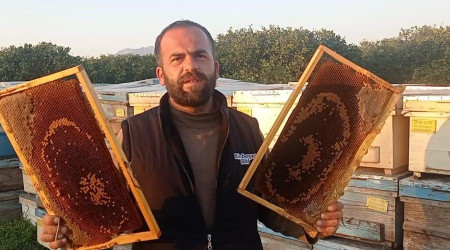 Adana’da 500 kovandaki binlerce arı telef oldu